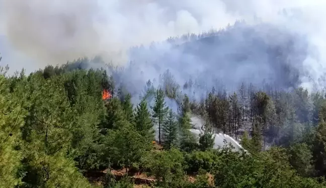 Son dakika haberi! Denizli'deki orman yangını kontrol altına alındı