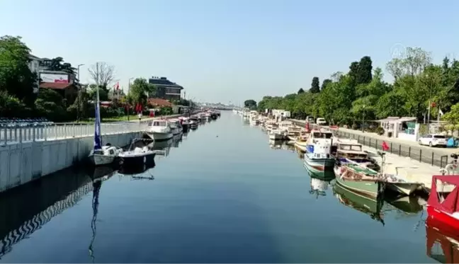 İstanbul'un bazı sahillerinde müsilaj yoğunluğu azaldı