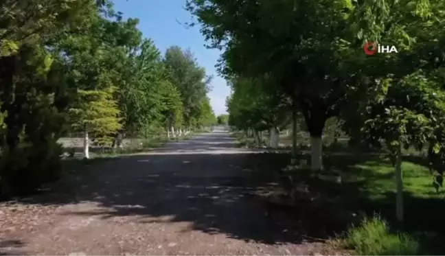 Başkan Konuk: 