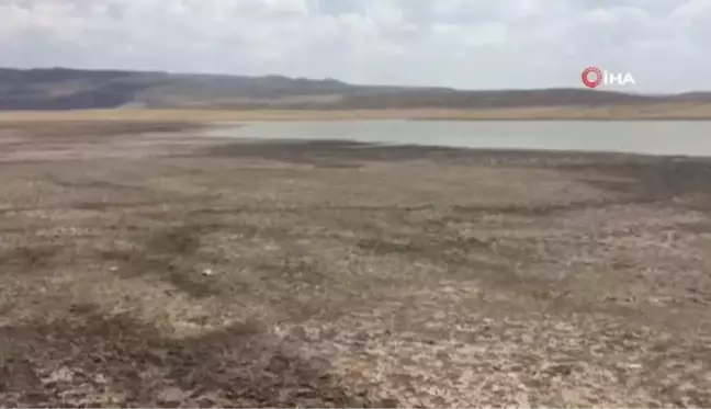 Kuraklık Bingöl'ün içme suyunu yüzde 32'i azalttı, başkan tasarruf çağrısında bulundu