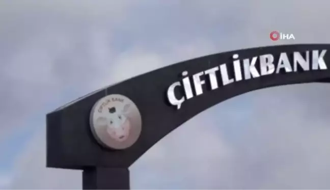 Çiftlik Bank'ın kurucusu Mehmet Aydın teslim oldu