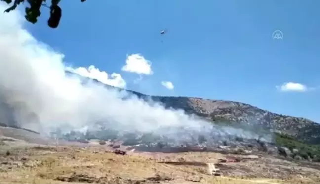 Selçuk'ta otluk alanda çıkan yangın söndürüldü