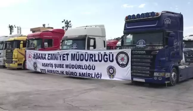 Adana merkezli 12 ilde 