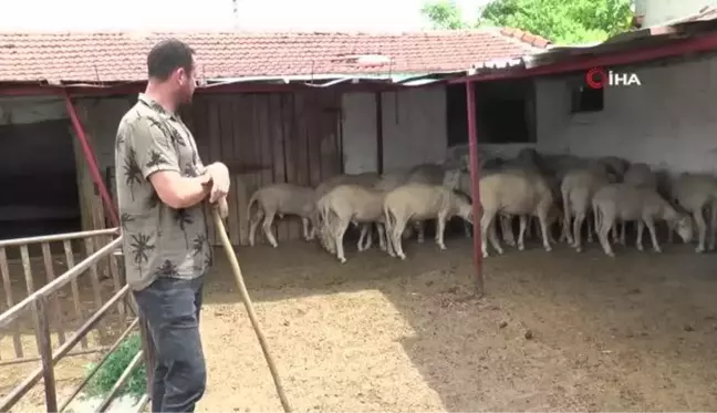 Kredili kurbanlara 'faiz' uyarısı