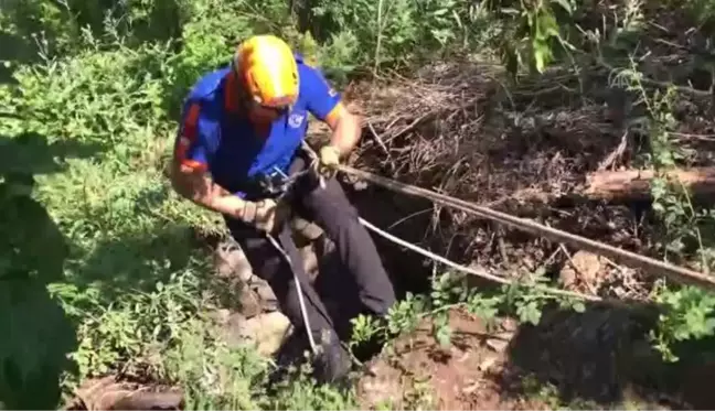 Kuyuya düşen köpeği AFAD ekipleri kurtardı