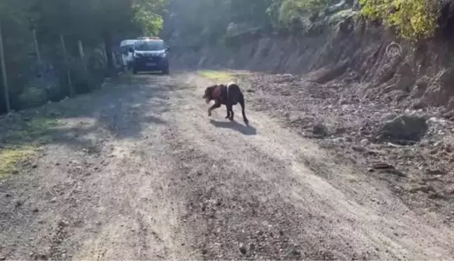 Osmaniye'de dün kaybolan zihinsel engelli ormanlık alanda bulundu