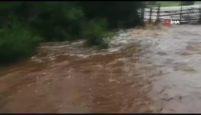 Şiddetli yağış sonrası tarlalar sular altında kaldı