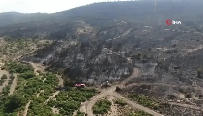 Foça yangınında hasarın boyutları böyle görüntülendi