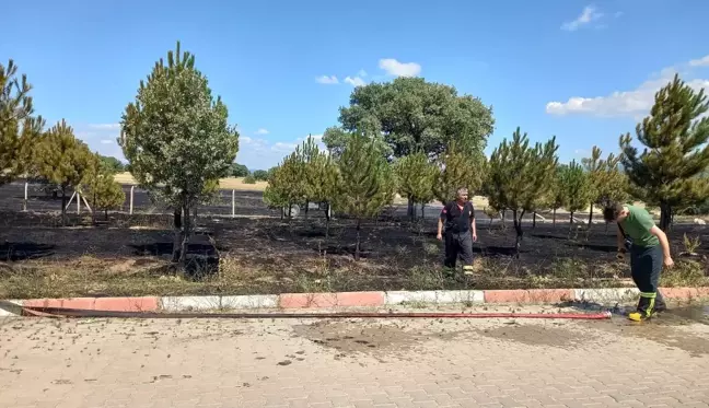 Gediz Organize Sanayi Bölgesinde 2 dekarlık otluk alan yandı