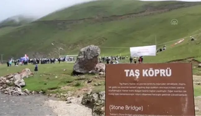 GÜMÜŞHANE - Taşköprü Yaylası'nda yayla sporları şenliği düzenlendi