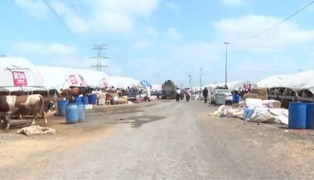 Kurban pazarlarındaki hareketlilik devam ediyor