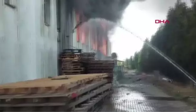 Son dakika... Tekirdağ'da, geri dönüşüm fabrikasında yangın (2)