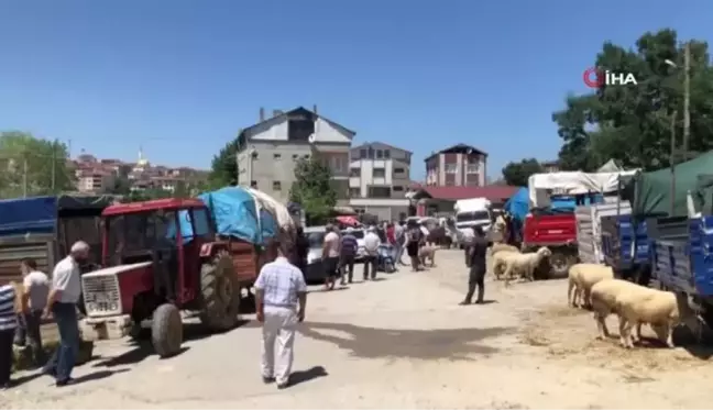 Hayvan pazarını pandemi vurdu, esnafın yüzü gülmedi