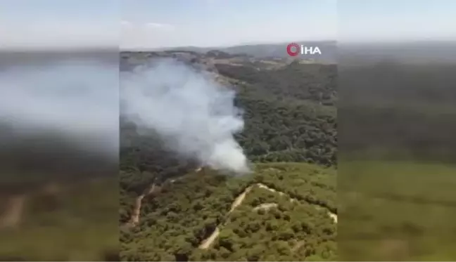 İzmir'de ormanlık alanda çıkan yangın kontrol altında