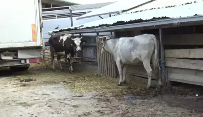 Türk Kızılay, Kuzey Makedonya'da ihtiyaç sahiplerine kurban eti ulaştırıyor