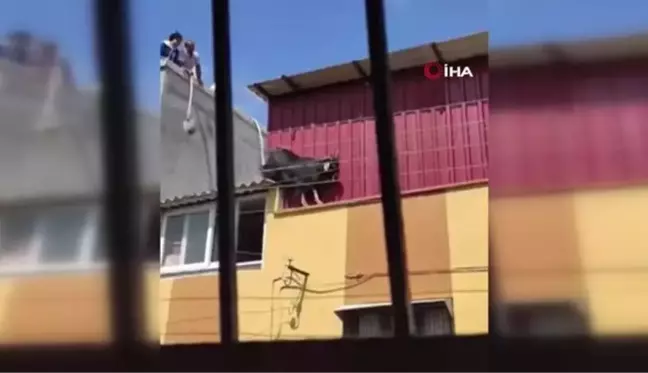 Kurbanlık keçi çatıdan düştü