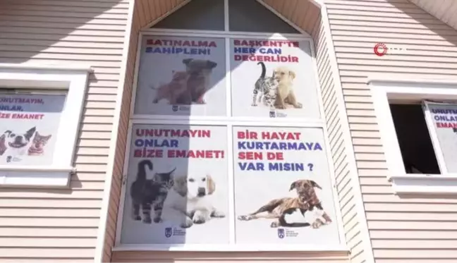 KISAMER'den sokak hayvanları için 7/24 mesai