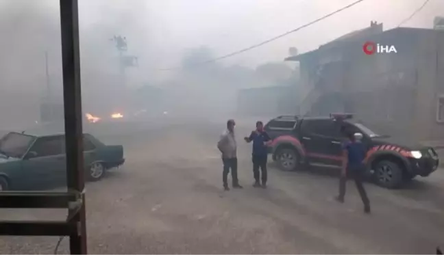 Yangın, Manavgat'ı esir aldı...Vatandaşlar ve ekipler mahallelerde mahsur kalan hayvanları kurtarmak için seferber oldu