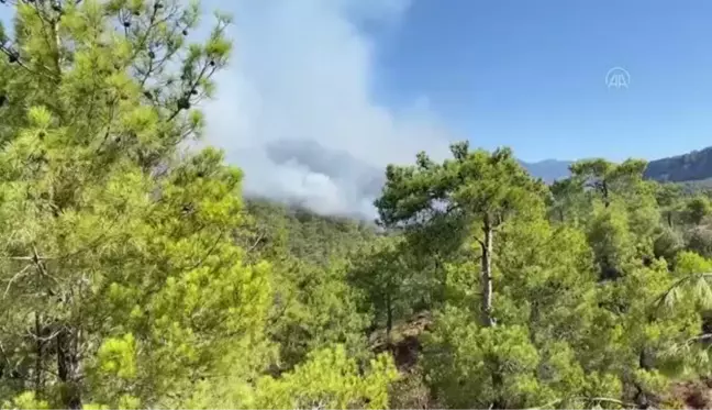 Gazipaşa ilçesindeki orman yangınına müdahale ediliyor