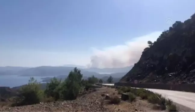 Asparan mevkisindeki orman yangını drone ile görüntülendi