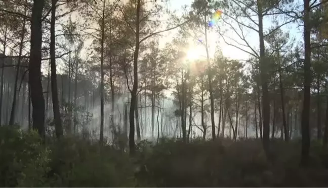 Marmaris'teki orman yangınına müdahale karadan devam ediyor