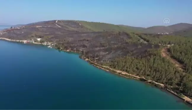 Son dakika haberleri | Milas'taki yangında zarar gören 80 hektarlık ormanlık alan havadan görüntülendi