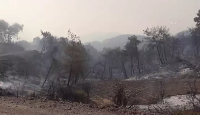 Son dakika haberi: Osmaniye'deki orman yangınına müdahale ediliyor