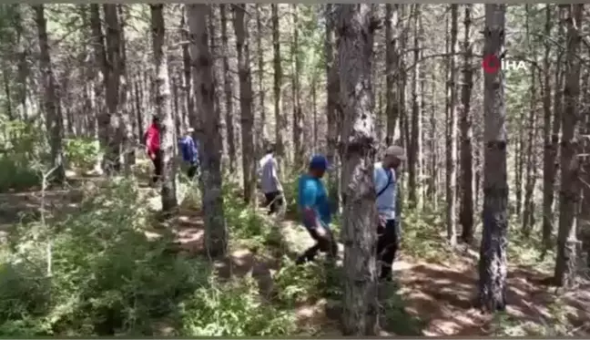 Yürüyüş yapmak için ormana giden Emine öğretmenden haber alınamıyor