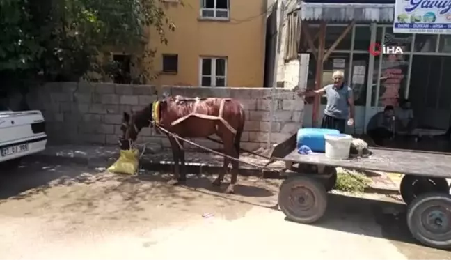 Aşırı sıcaktan bunalanlar derelerde ve akarsulara akın etti, sokaklar boş kaldı