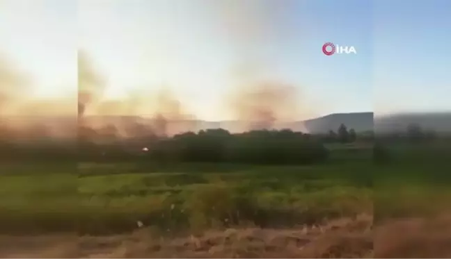 Nallıhan Kuş Cenneti'nde Ormanlık alanda yangın