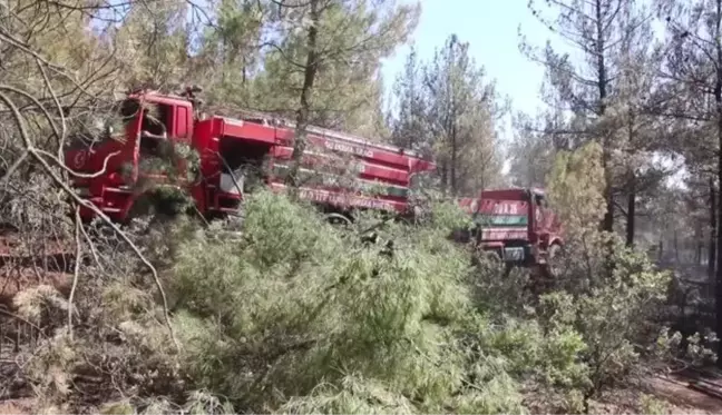 Son Dakika | Ormanlık alanda çıkan yangın kontrol altına alındı