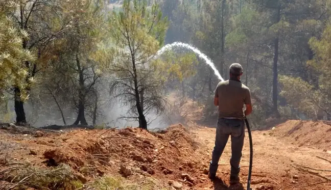 Uşak'ta çıkan orman yangını büyümeden söndürüldü