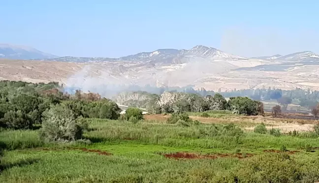 Son dakika! Nallıhan Kuş Cenneti'nde ormanlık alanda yangın yeniden alevlendi