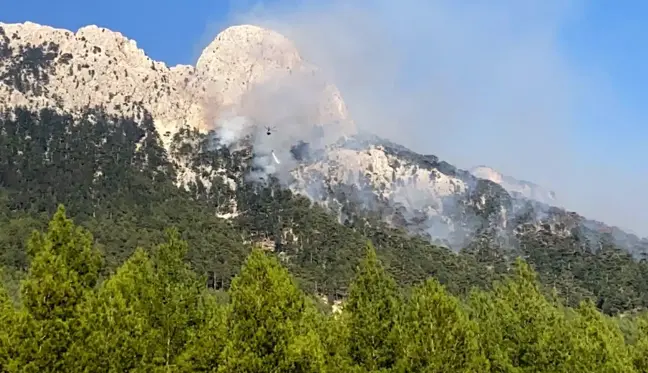 Son dakika haberleri... Seydikemer'deki yangın kısmen kontrol altına alındı