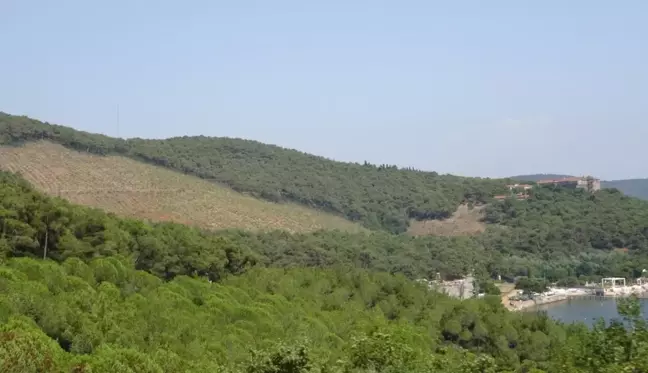 Heybeliada'da 1 yıl önce yangında kül olan alanın değişimi böyle görüntülendi