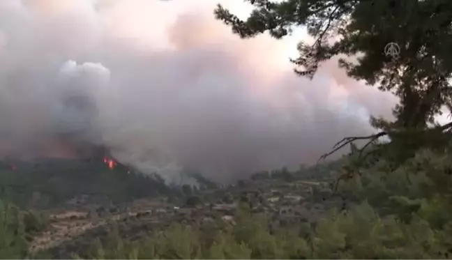 Son dakika... Milas'ta yangının tehdit ettiği 2 mahalledeki vatandaşlar tahliye edildi