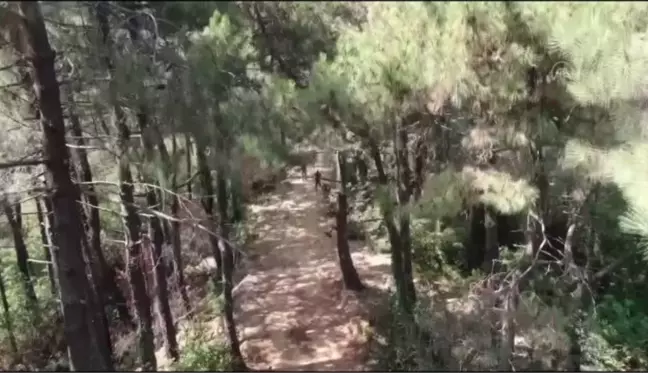 Polis, orman yangınlarına karşı helikopter destekli denetim yaptı