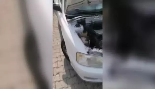 Otomobilin motor kısmında sıkışan kediyi itfaiye kurtardı