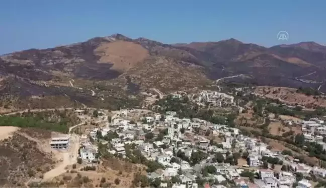 Son dakika haberleri | (DRONE) Bodrum'daki makilik ve otluk yangını havadan ve karadan müdahaleyle söndürüldü