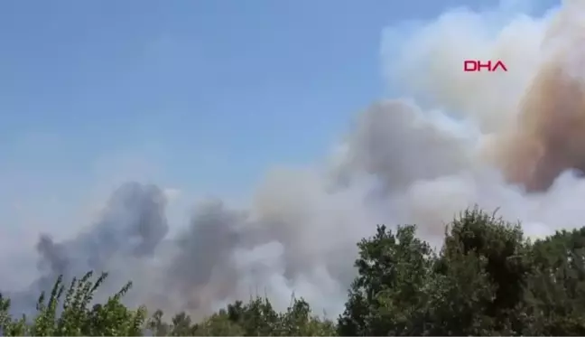 YANGIN BARAJLARA KADAR ULAŞTI