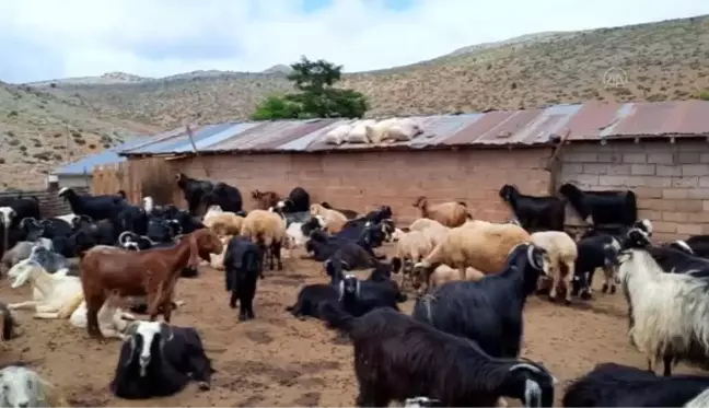 Muz üreticileri gübreyi, Bozkır'dan tedarik ediyor