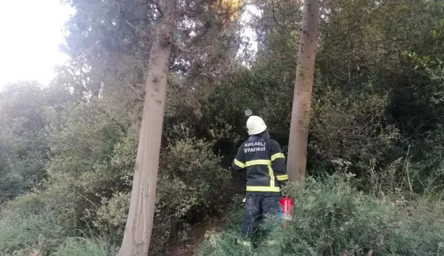 Son dakika haberleri | Ormanlık alanda yeniden çıkan yangını muhtar söndürdü