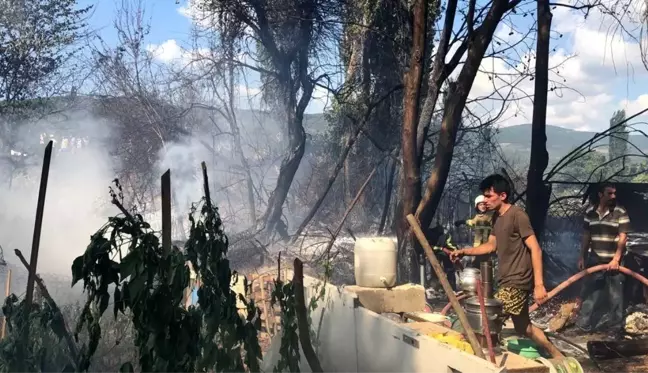 Son dakika haber! Tatil beldesinde korkutan yangın