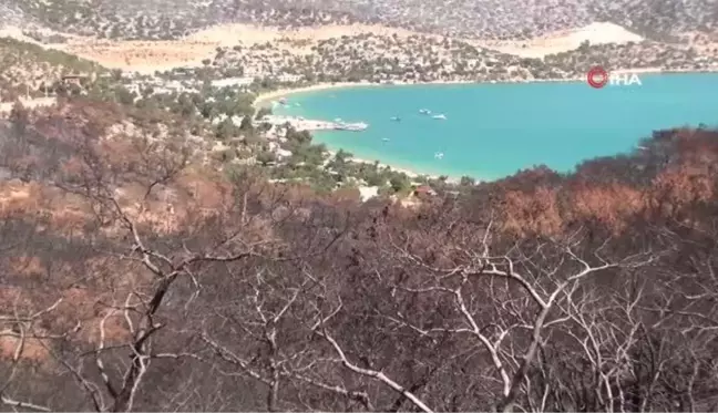 Silifke'de çıkan yangında zarar gören Boğsak mevkiinde çevre temizliği yapıldı