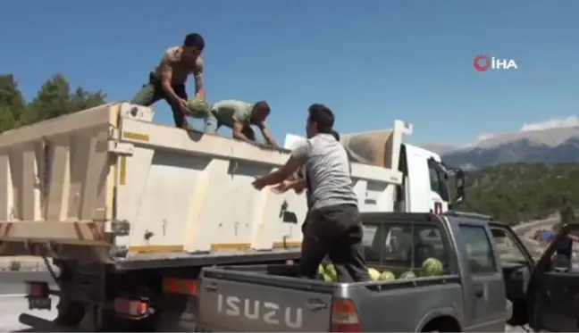 Antalya'da yangından etkilenen yaban hayatı unutulmadı