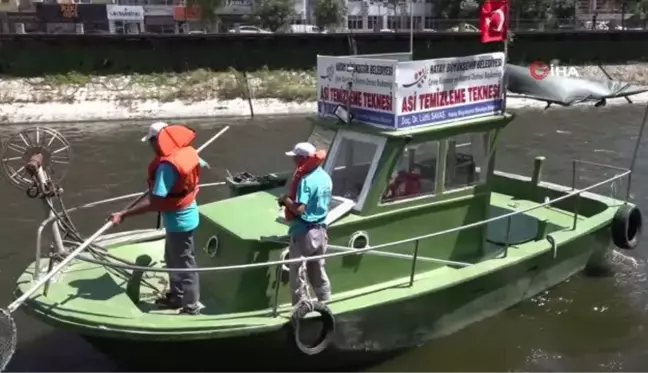 Asi Nehri'ndeki katı atık ve su sümbülleri temizleniyor