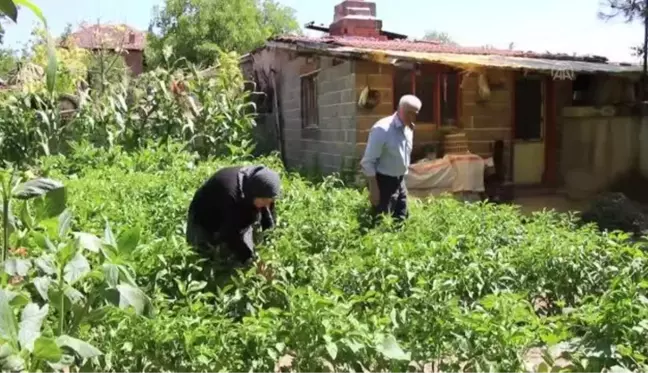 Yaşlı adamı dolandıran şüpheli tutuklandı