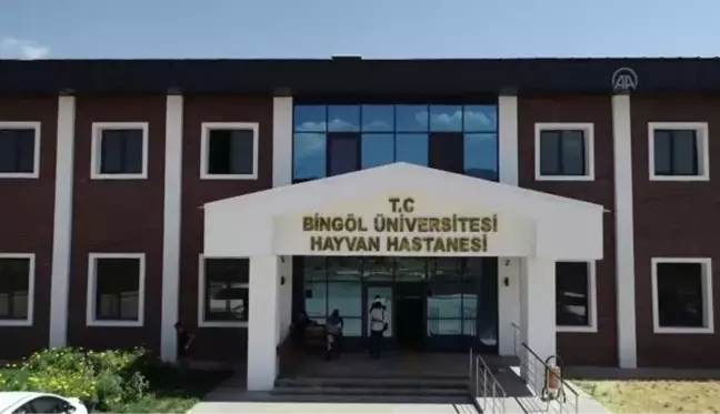 Hayvan hastanesi, bölgedeki besicilere ve hayvanlara derman olacak