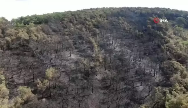 Heybeliada'da soğutma çalışmaları havadan görüntülendi