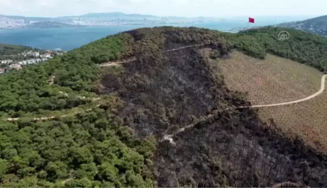 Heybeliada'da yangın nedeniyle zarar gören alan havadan görüntülendi